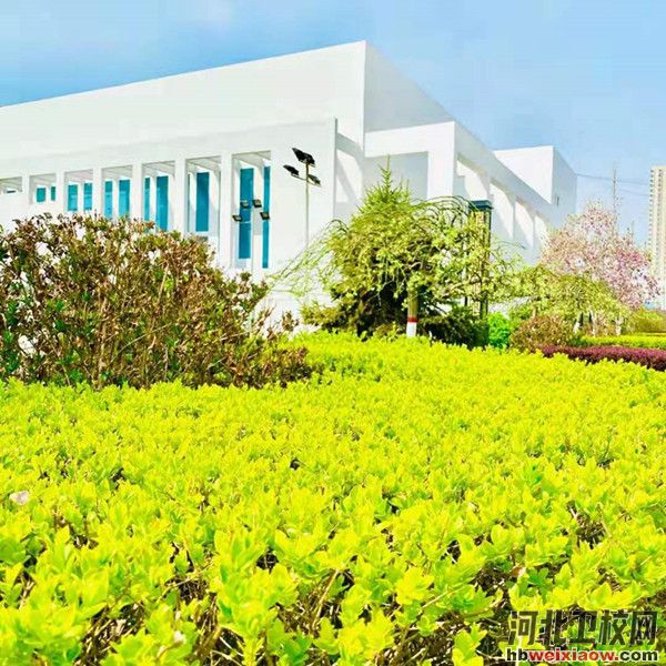 秦皇島衛(wèi)生學(xué)校校園風(fēng)采1