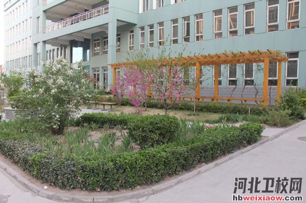 保定市女子職業(yè)中專學(xué)校校園風(fēng)光2