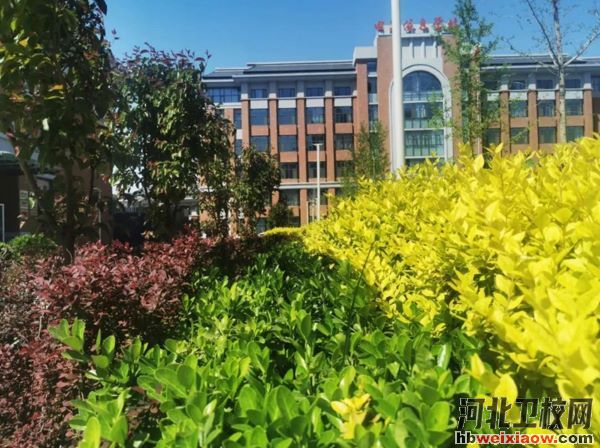 石家莊電子信息學校校園環(huán)境