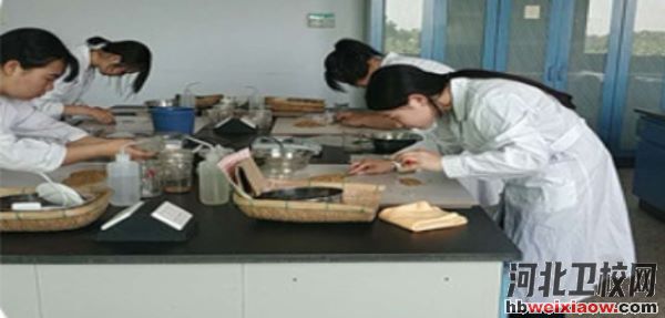 石家莊市藁城區(qū)職業(yè)技術(shù)教育中心實(shí)訓(xùn)