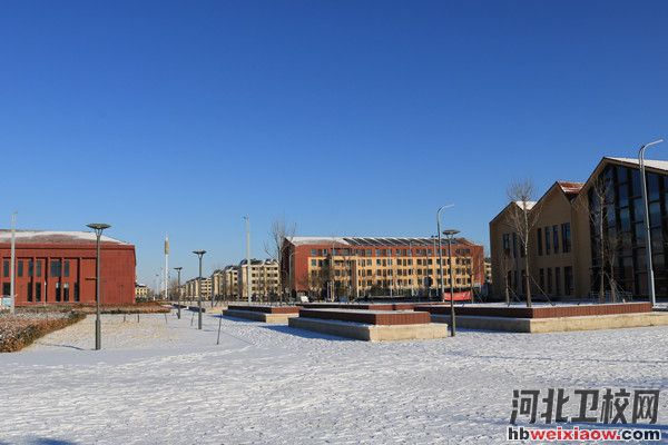 曹妃甸職業(yè)技術(shù)學(xué)院校園環(huán)境