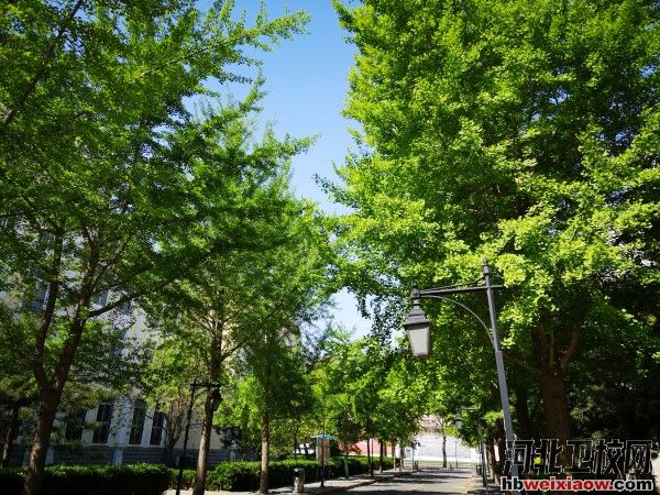 河北東方學(xué)院校園環(huán)境