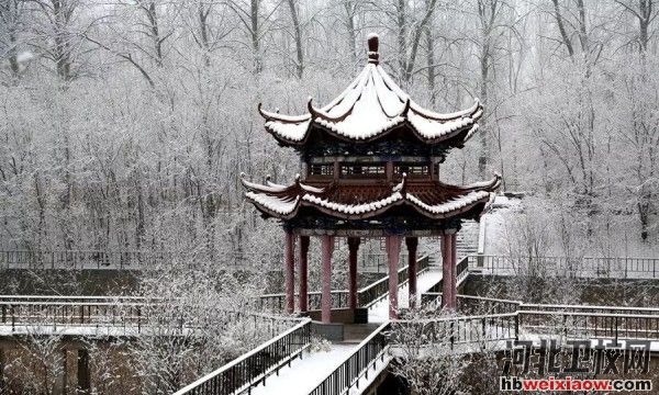 廊坊衛(wèi)生職業(yè)學(xué)院雪景