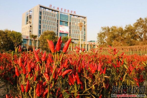 唐山職業(yè)技術學院校園風景