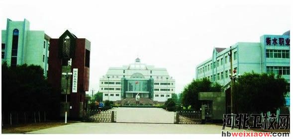 衡水職業(yè)技術(shù)學(xué)院學(xué)校門口