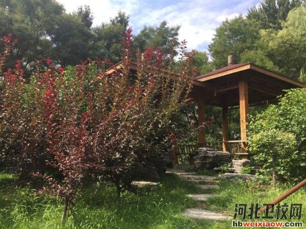 宣化科技職業(yè)學(xué)院校園環(huán)境