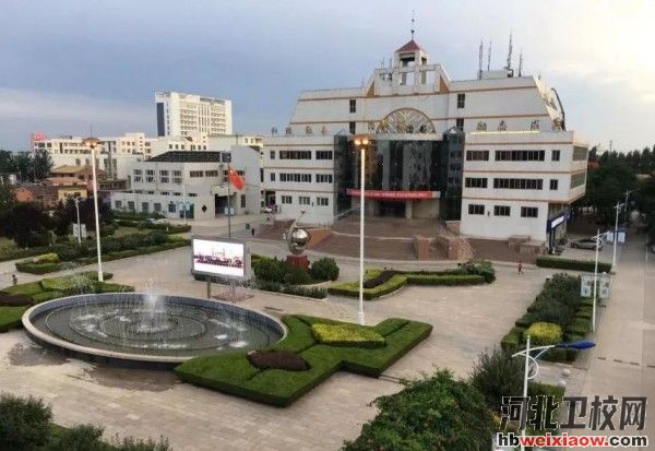 衡水職業(yè)技術(shù)學(xué)院圖書館