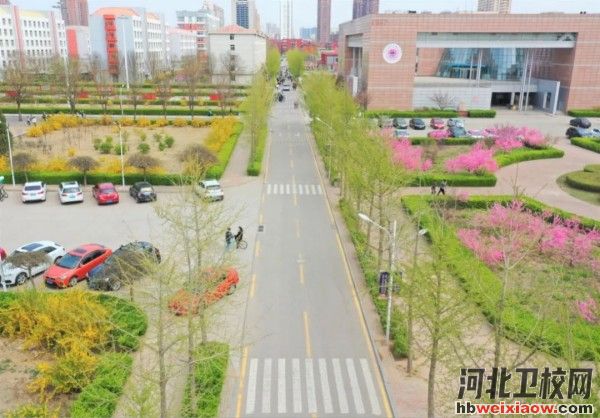河北能源職業(yè)技術(shù)學(xué)院校園環(huán)境