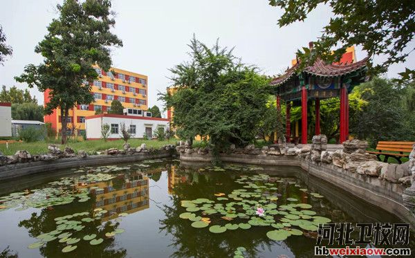 石家莊新希望職業(yè)中專學(xué)校校園環(huán)境