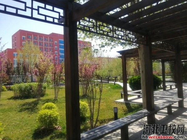 河北勞動關系職業(yè)學院校園風景