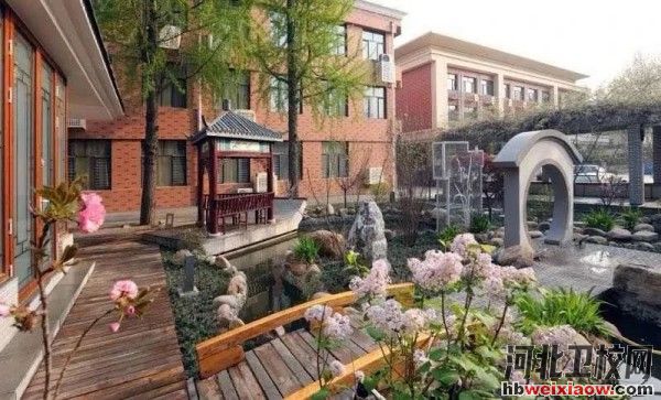 河北青年管理干部學(xué)院花園