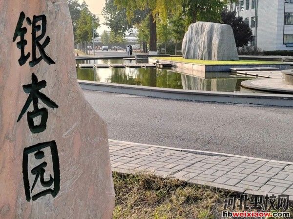 唐山幼兒師范高等?？茖W(xué)校銀杏園