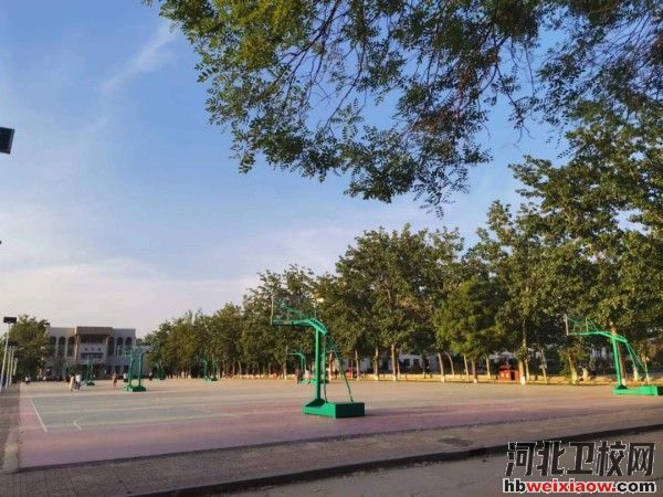 滄州幼兒師范高等?？茖W(xué)?；@球場